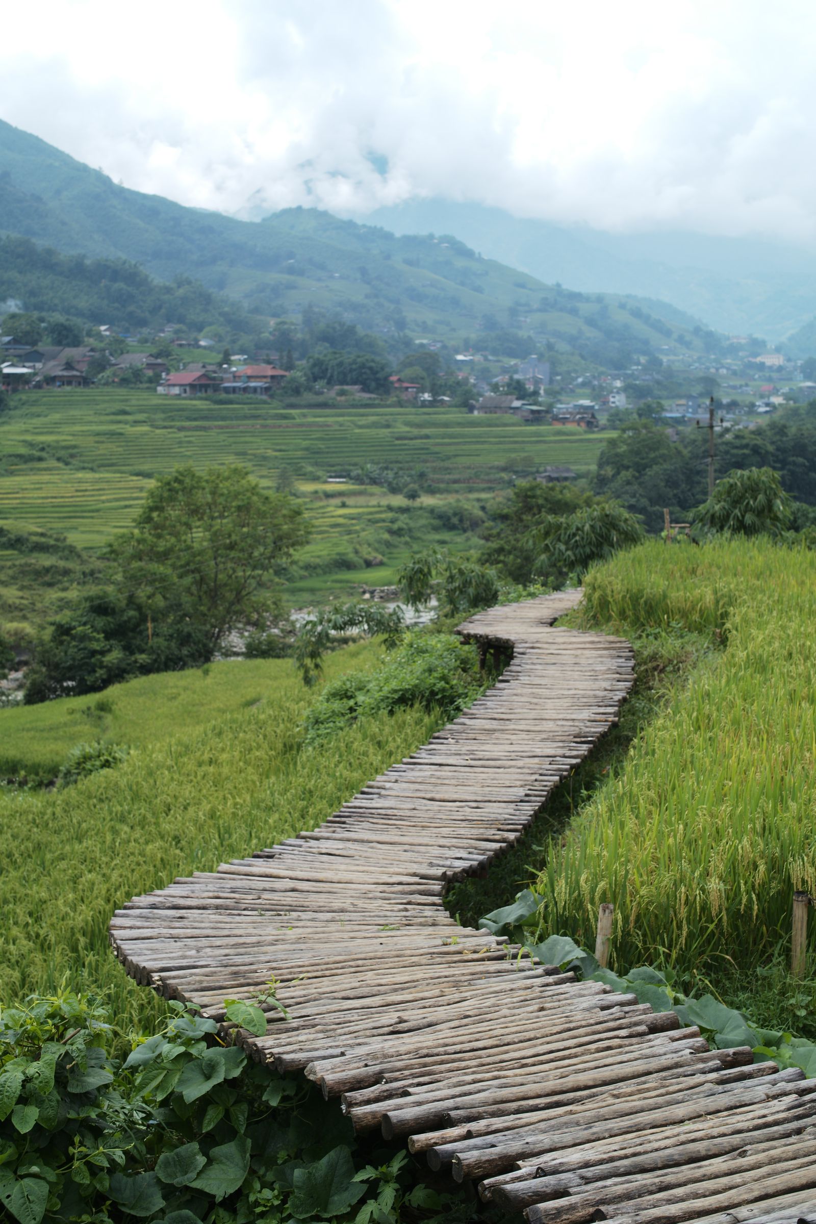 Lối đi bằng gỗ len lỏi giữa các thửa ruộng bậc thang, dẫn về phía bản làng Sa Pa